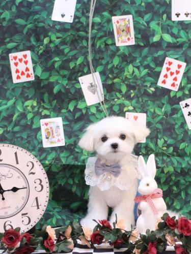 20250401リッツくん